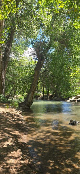 A serene creek flows through a lush, shaded forest with sunlight filtering through the green canopy—a peaceful natural escape that pairs perfectly with the idea of a "much needed" retreat into nature.