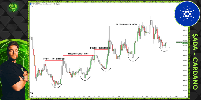 An annotated ADA/USDT 1-hour candlestick chart shows a sequence of “FRESH HIGHER HIGH” moves followed by higher lows, with the latest pullback marked for bullish defense. The post argues that ADA/Cardano has one of the clearest bullish structures among large-cap cryptocurrencies and could rally to a new higher high if bulls hold the current higher low.