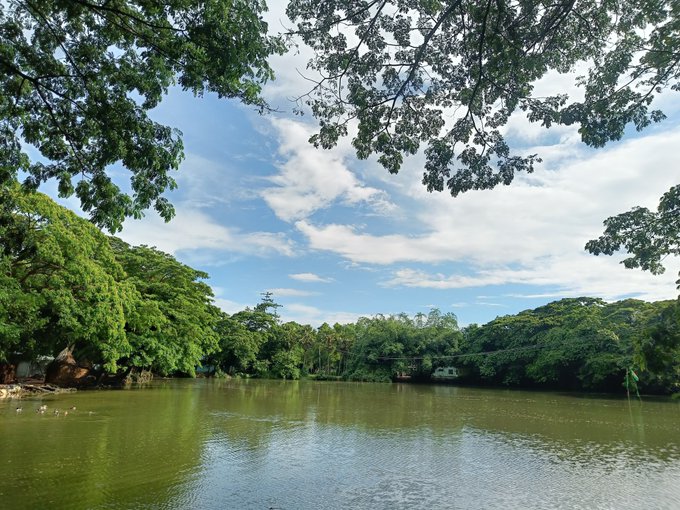 A serene lake surrounded by lush green trees under a partly cloudy blue sky, with overhanging branches framing the top of the scene.