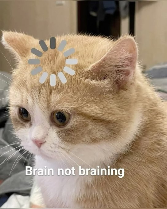 A meme image of an orange tabby cat with a loading spinner on its forehead and text reading 'Brain not braining'.