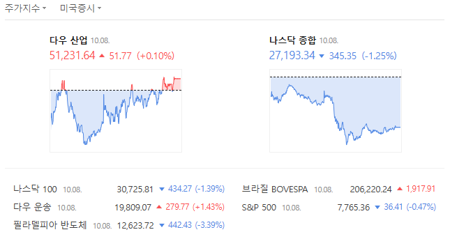 A Korean-language financial dashboard showing stock indices: 다우 산업 (Dow) 51,231.64 +0.10%, 나스닥 종합 (Nasdaq) 27,193.34 -1.25%, along with 나스닥 100, 다우 운송, 브라질 BOVESPA 206,220.24, 필리핀피아 반도체, and S&P 500 7,665.36.