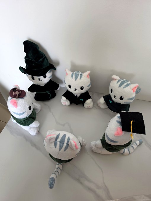A collection of cute white and blue striped cat plush toys, some wearing black graduation outfits and one wearing a witch hat, arranged on a light-colored surface.