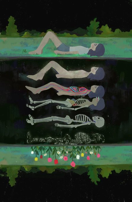 Illustrated diagram showing layers of a person resting on grass at night, peeling back skin, muscle, circulatory system, and skeleton to reveal roots and flowers growing beneath them.