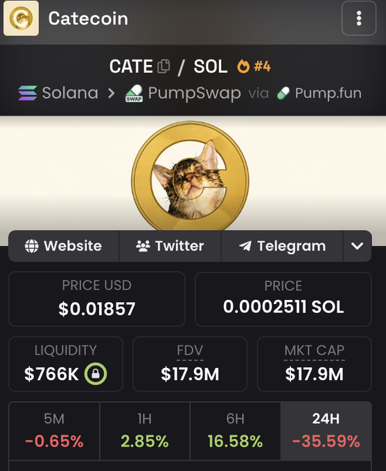 A mobile screenshot displays Catecoin (CATE/SOL #4) trading on Solana via PumpSwap and Pump.fun, with a $0.01857 price and $17.9M market cap that has dropped -35.59% over 24 hours despite +16.58% gains over 6 hours, illustrating the post's point about hype-driven pumps that crash when lacking genuine community support.