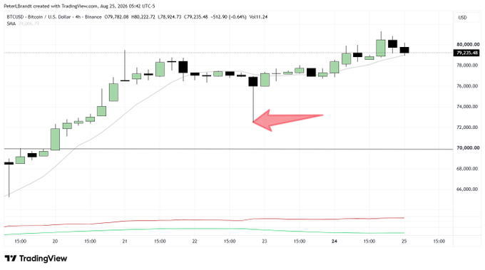 TradingView candlestick chart for BTCUSD showing Bitcoin's price action around $79,235.48, with a pink arrow pointing to a dip on August 23.