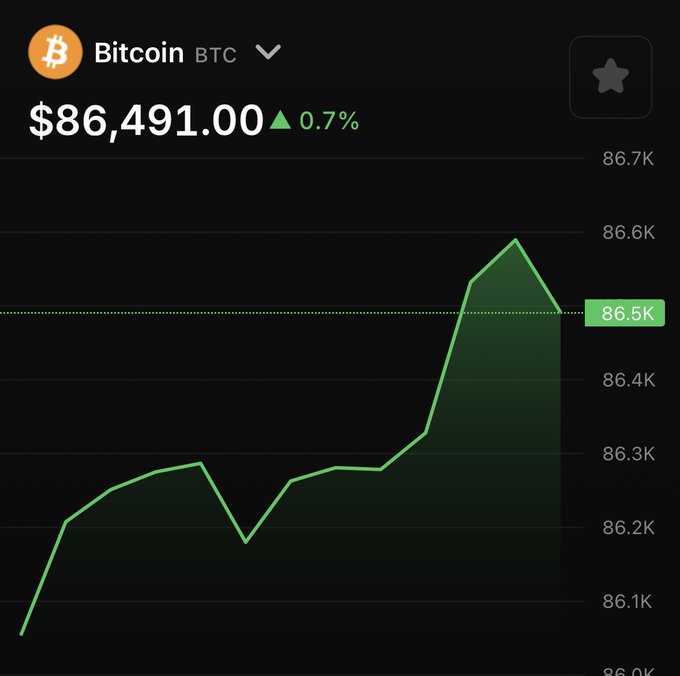 A dark-themed Bitcoin (BTC) price chart showing $86,491.00 with a 0.7% gain, displaying an upward trending green line graph over the past day.