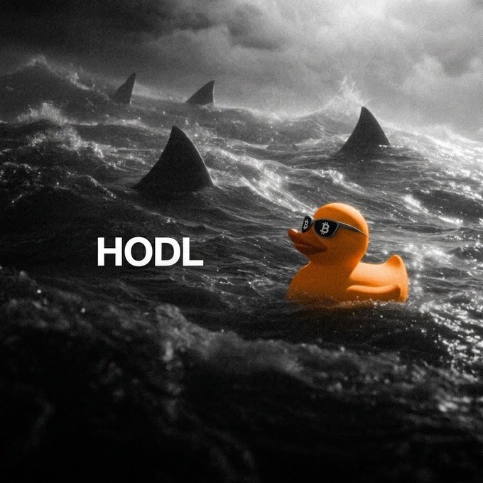 A brave rubber duck wearing Bitcoin sunglasses floats calmly in shark-infested waters, with the text "HODL" prominently displayed, symbolizing steadfast holding of Bitcoin despite surrounding dangers.