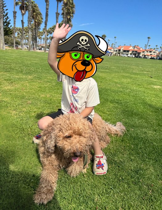 A child wearing a pirate hat filters their face while sitting on the grass with their curly brown dog, waving hello. The playful scene pairs perfectly with the "Top o' the GM" greeting, evoking a fun pirate-themed adventure with a furry first mate on shore leave.