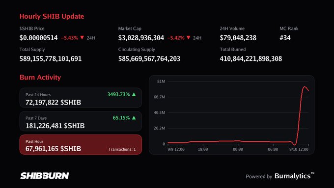 A cryptocurrency dashboard displays an 'Hourly SHIB Update' showing a SHIB price drop of -5.43%, with burn activity metrics, a market cap of $3,028,936,304, and a graph tracking recent transaction spikes.
