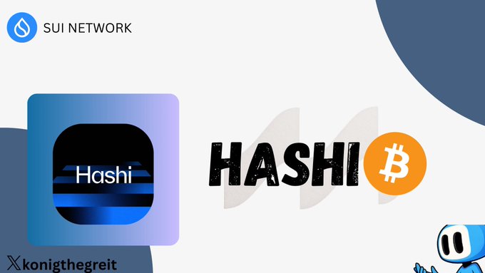 The image displays the "SUI NETWORK" logo in the top left corner, alongside the "Hashi" app icon and the "HASHI" text with a Bitcoin logo integrated into the letter "O," visually promoting Hashi as a Sui-native Bitcoin orchestrator that enables secure BTC management and conversion to hBTC.