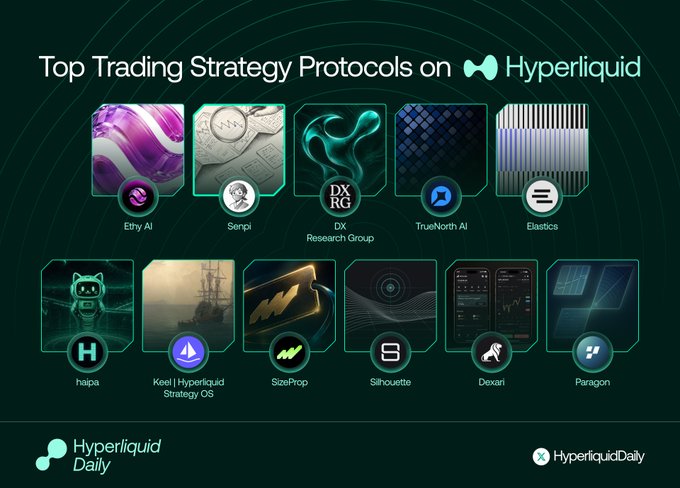 A promotional graphic titled "Top Trading Strategy Protocols on Hyperliquid" showcasing 11 featured protocols in a grid layout, including Ethy AI, Senpi, DX Research Group, TrueNorth AI, Elastics, haipa, Keel | Hyperliquid Strategy OS, SizeProp, Silhouette, Dexari, and Paragon, each with their distinct logo. The image is branded with "Hyperliquid Daily" in the bottom corners and visually represents the curated list mentioned in the accompanying post.