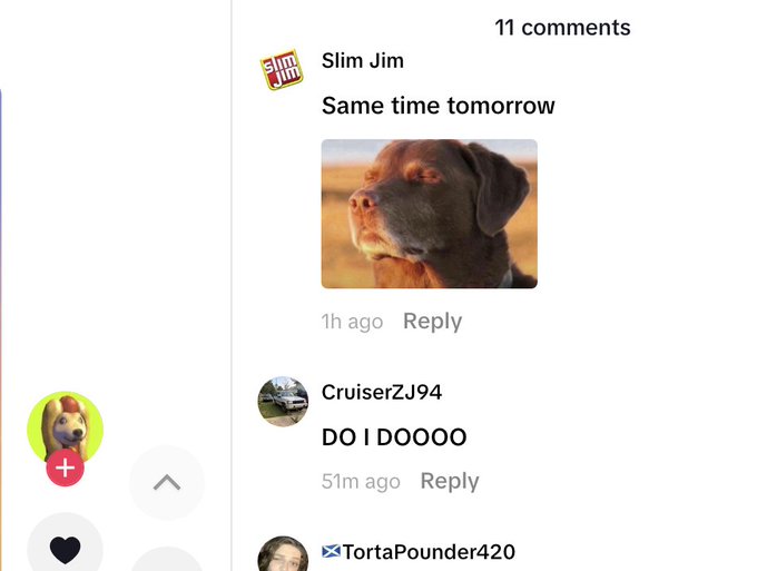 A TikTok comment thread with 11 comments, showing user "Slim Jim" posting "Same time tomorrow" with a photo of a brown dog, followed by user "CruiserZJ94" replying "DO I D0000".