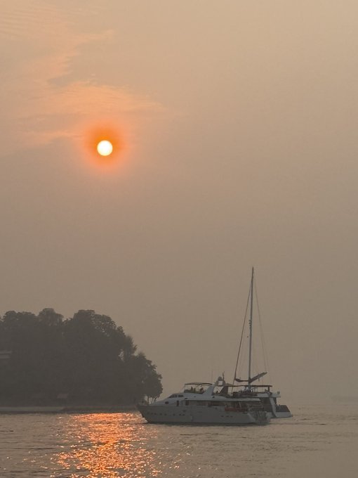 A hazy sunset scene shows a white catamaran with a tall mast silhouetted on the water with a forested shoreline on the left.