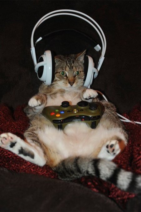 Photo of a tabby cat lying on its back wearing white headphones with a white Xbox 360 controller resting on its belly.