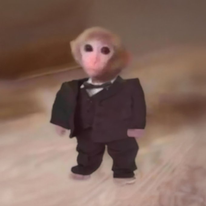The image features a monkey dressed up as a businessman, wearing a suit and tie. This unusual sight sparks curiosity about the story behind this unique portrayal of an animal. The caption "one ape can change the paradigm. believe & $ape." suggests that the monkey's appearance challenges conventional ideas about animals' roles in society or their ability to engage in human-like behaviors.