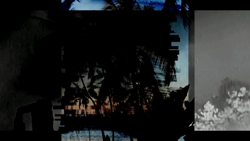The image shows a collage of three photos, each with different elements such as palm trees, water, and a sunset. The first photo features a person sitting under a palm tree, while the second photo depicts a beach scene with palm trees and water in the background. The third photo captures a beautiful sunset over the ocean. The post is titled "1 EDITION LEFT!!! 55 TEZ" which suggests that it might be related to an event or gathering taking place at the beach during sunset.

The collage of photos creates a sense of depth, showcasing various elements such as palm trees and water in different settings. This artistic arrangement can evoke feelings of relaxation and tranquility, inviting viewers to imagine themselves enjoying the serene atmosphere of the beach during sunset.