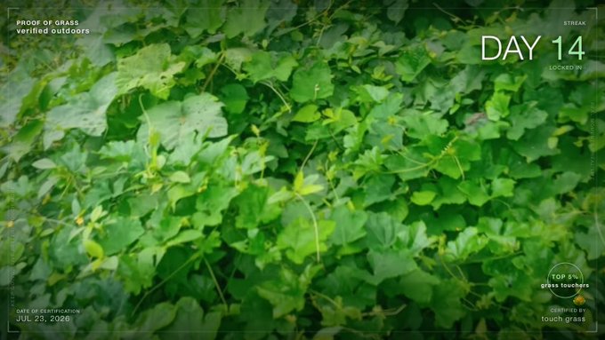 A close-up of green grass and leaves with overlay text reading "DAY 14," "STREAK LOCKED IN," "PROOF OF GRASS verified outdoors," "DATE OF CERTIFICATION JUL 23, 2026," and "TOP 5% grass touchers CERTIFIED by touch grass."