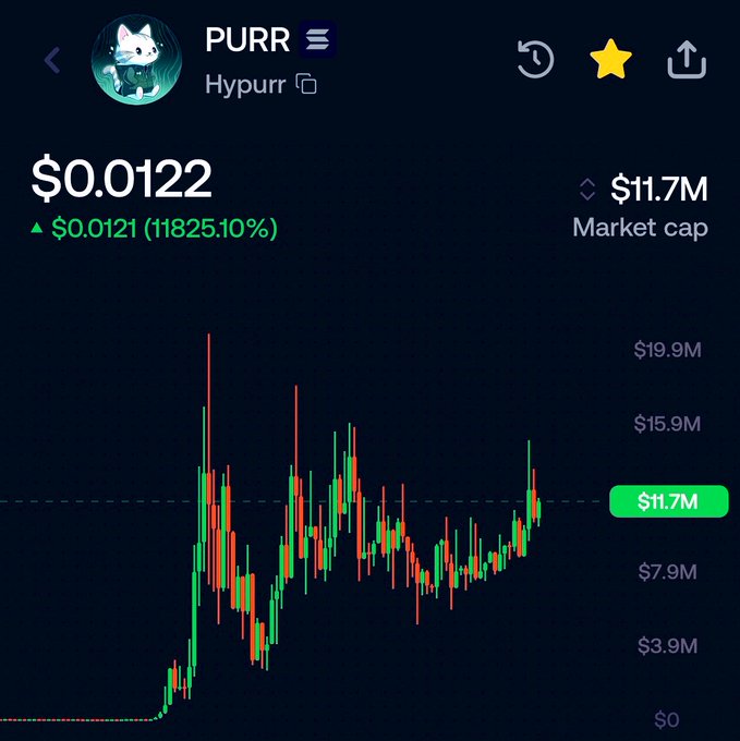 A cryptocurrency tracking chart displays the PURR token (Hypurr) priced at $0.0122 with a market cap of $11.7M, showing a massive 11825.10% gain. The accompanying post highlights PURR's flywheel mechanism on LaunchOnSF, where trading fees generate $HYPE rewards to holders, platform revenue funds PURR buybacks and burns, resulting in $1.64M+ distributed, 625K+ payouts, 16K+ holders, and 2.51M PURR burned.