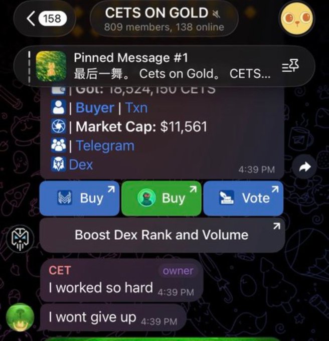 A Telegram group called "CETS ON GOLD" (809 members, 138 online) displays a pinned message showing a market cap of $11,561 and links to "Buyer | Txn," "Telegram," and "Dex," aligning with the post's claim about the $11,561 market cap. The pinned message also references "Cets on Gold" with a supply of 18,524,150 CETS, while the group owner ("CET") posts motivational messages like "I worked so hard" and "I wont give up."