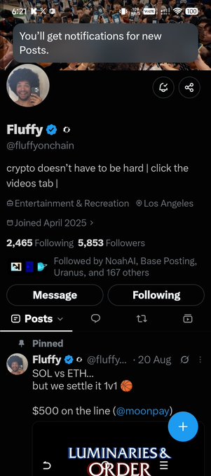 An X/Twitter profile screenshot for 'Fluffy' (@fluffy0nchain), categorized under 'Entertainment & Recreation' in Los Angeles, with a pinned post about 'SOL vs ETH'.