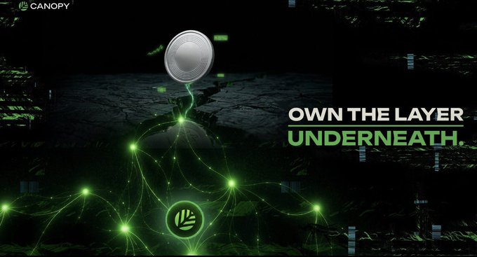 A dark digital promotional graphic for "CANOPY" featuring a silver coin floating above a glowing green network of nodes, with the tagline "OWN THE LAYER UNDERNEATH."