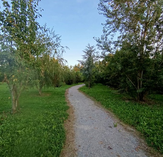 A peaceful outdoor scene featuring a winding gravel path bordered by lush green grass and trees under a clear blue sky.