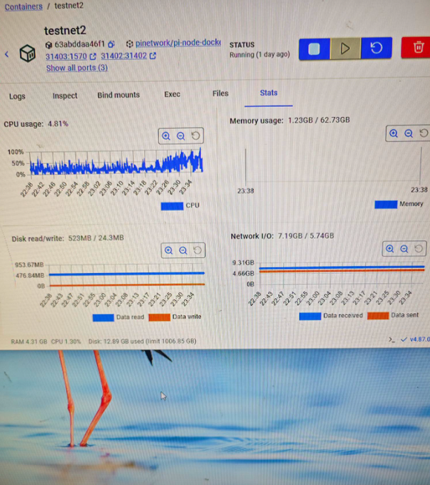 A photo of a computer screen displaying the Docker container management dashboard for "testnet2" (image: pinetwork/pi-node-docker), showing the Stats tab with metrics including CPU usage at 4.81%, memory usage at 1.23GB/62.73GB, disk read/write of 523MB/24.3MB, and network I/O of 7.19GB/5.74GB. The screenshot directly illustrates the user's request by confirming that the Disk read/write section is indeed active and displaying data for their Pi Node.
