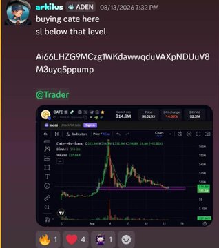 A Discord message from user 'arkilus' in the ADEN channel dated 08/13/2026 says 'buying CATE here sl below that level' with a long alphanumeric address and a TradingView chart of the CATE meme coin showing a 24hr change of -4.48%.