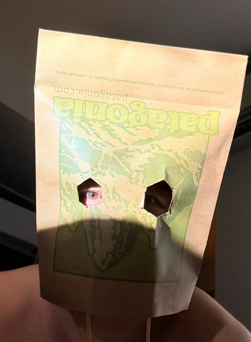 A photograph of a hand holding a brown paper bag labeled 'palagonia.com' with two holes cut out, revealing a person's eyes looking through them.