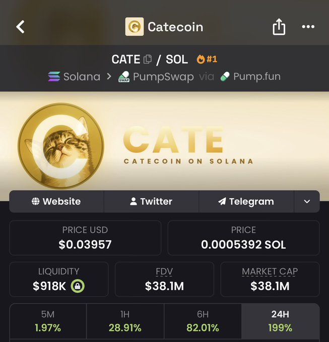 A mobile screenshot of the Catecoin (CATE) cryptocurrency page on a Solana-based trading platform, showing a price of $0.03957 USD (0.0005392 SOL), with $918K liquidity and a $38.1M market cap, alongside performance gains of 1.97% (5M), 28.91% (1H), 82.01% (6H), and 199% (24H).