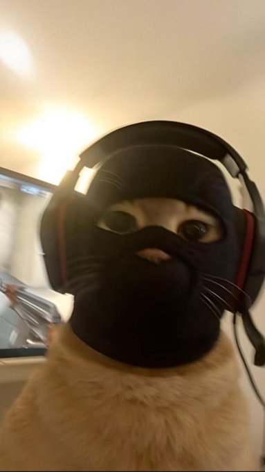 The image features a cat wearing a black mask with headphones over its ears. The cat appears to be posing for a photo or video, possibly as part of a social media post related to the $RIVER community. The caption reads "Goodnight CT To the entire $RIVER community: rest well. Y'all showed up today and that'S what matters. We go again tomorrow, same fire, same focus, same stack."