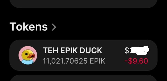 A mobile app screen showing a tokens portfolio with 'TEH EPIK DUCK' holding 11,021.70625 EPIK, displaying a value of -$9.60 in red.