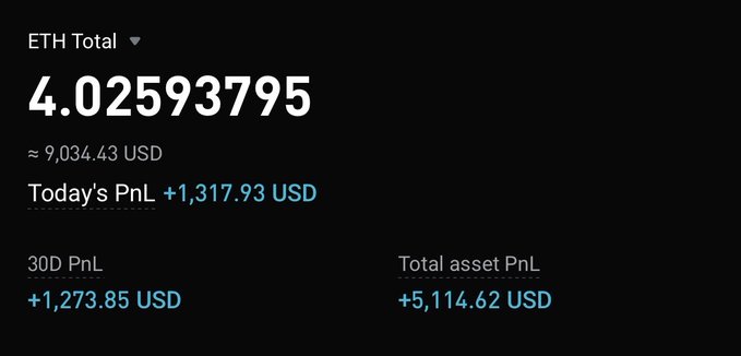 A crypto portfolio summary screen showing an ETH Total of 4.02593795 (≈9,034.43 USD) with today's profit at +1,317.93 USD and total asset PnL at +5,114.62 USD.