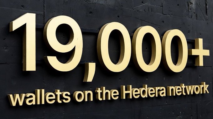 The image features a large sign with gold letters that reads "19,000+ wallets on the Hedera network". The text is written in a fancy font style, which adds an elegant touch to the overall appearance of the sign. The background of the sign is black, providing contrast and making the gold letters stand out even more. The image also includes some additional text that says "DOVU is now held by more than 19,000+ wallets natively on @hedera". This information further emphasizes the significance of the sign's message about the hedera network and the DOVU token.