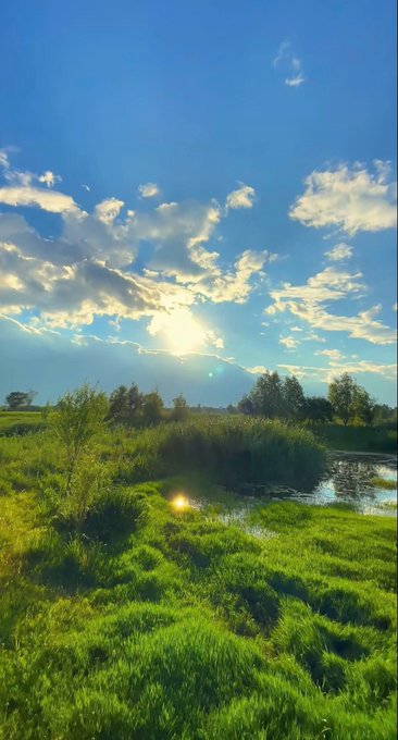 A serene landscape showing a grassy field beside a small body of water under a bright blue sky with scattered clouds and the sun shining through.