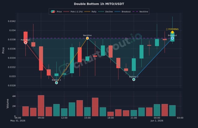 The image features a financial chart with a title "Double Bottom JMTOT USDT" indicating that this is a suggestion for setting up a trading strategy related to the currency pair, JMTOT (Mexican Peso), and USDT (United States Dollar). The chart displays two vertical bars representing the price trends of these two currencies over time. These bars are color-coded with red and green colors, which help differentiate between positive and negative values. Additionally, there is a line that shows the overall trend for both currencies on the same graph. The visual representation of this data provides insights into the performance or movement of JMTOT and USDT in relation to each other, which can inform an individual's decision-making process when trading these financial instruments.