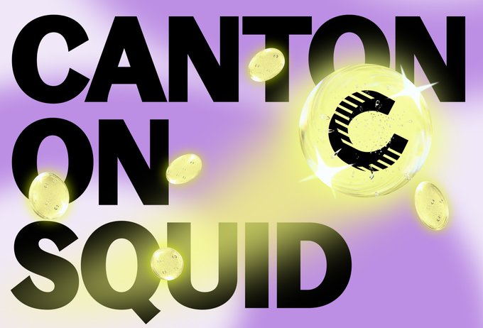 A graphic design featuring the text "CANTON SQUID" in bold black letters against a pink and purple gradient background with floating golden coins.