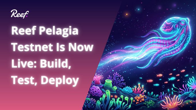 The image features a vibrant underwater scene with an octopus and various sea creatures swimming around coral reefs. The background of the image is purple, which complements the colorful marine life. In the center of the image, there's text that reads "Reef Pelagia testnet is now live for all to build, test and deploy on! Pelagia is Reef' s public testnet, designed to give developers and builders a production-like environment to experiment, iterate, and validate their applications before deploying to mainnet." The image seems to be promoting the idea of using the Reef testnet as a testing platform for software development.