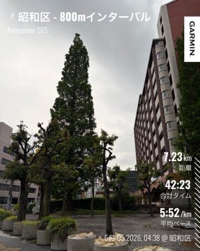 The image shows a tall tree with green leaves, surrounded by concrete planters filled with plants. The scene takes place outdoors, possibly at a park or garden area. In the background, there are buildings visible behind the trees. A postcard is present in the image, which appears to be related to an outdoor activity such as hiking or running.