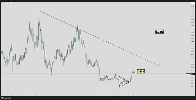 A SOL/USD daily chart from TradingView displays a descending trendline connecting previous highs, with key resistance levels marked at $113 and $230, alongside a smaller symmetrical triangle forming near the $113 support—visually supporting the post's bullish thesis for a "next leg" toward $200+.