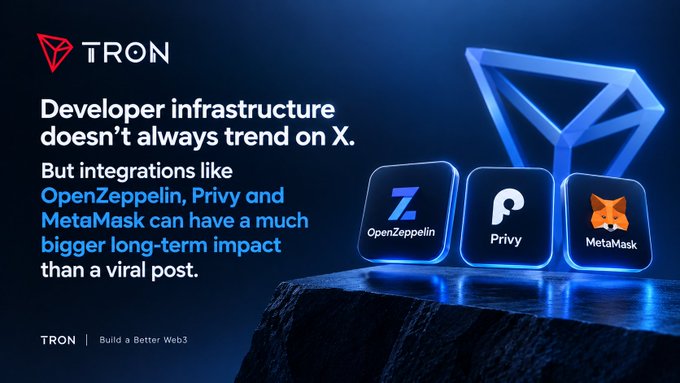 TRON cryptocurrency promotional graphic emphasizing developer infrastructure, mentioning integrations with OpenZeppelin, Privy and MetaMask, with the tagline 'Build a Better Web3'.