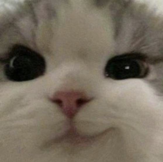 A close-up, low-resolution image of a white and gray cat's face with large, soulful eyes and a pink nose, perfectly capturing the endearing "please adopt me" expression often used in memes. The adorable, pleading cat pairs humorously with the caption encouraging cat lovers to join Robinhood Crypto, as the meme's charm appeals to the emotional side of cat enthusiasts.