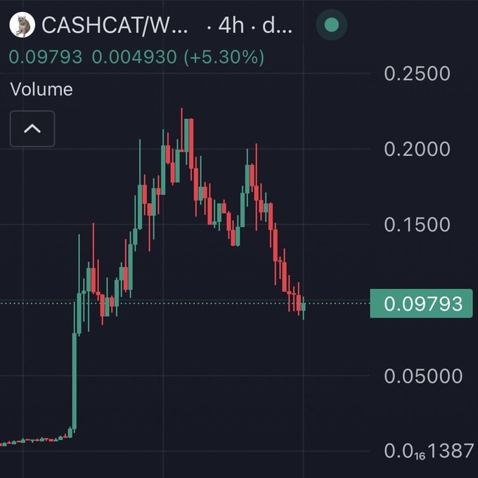 A 4-hour candlestick chart of CASHCAT/W showing a price of 0.09793, up 5.30% (+0.004930), with price action displaying a sharp pump to ~0.22 followed by a steep selloff back down to current support levels—visually capturing the "reversal.exe" moment described in the post after a liquidity cascade wiped out the heavily shorted positions.