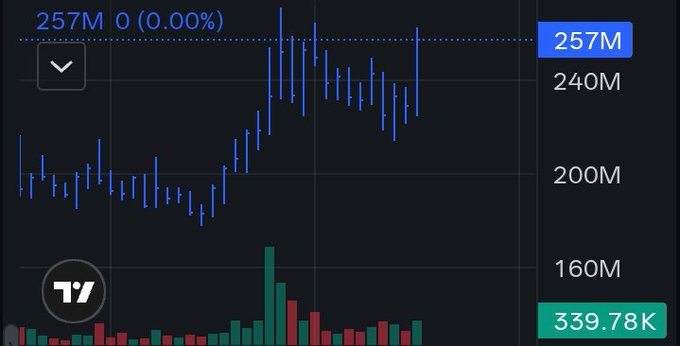 A cryptocurrency price chart displays the $ANSEM token trading at 257M with a 0.00% change, showing a significant price spike followed by a volatile consolidation pattern above its prior range of 160M–200M. The accompanying post's bullish sentiment about "buying the dip" and the token being "ready for the next leg up" aligns with the chart's recent breakout from a sideways trend, suggesting optimism that the upward momentum will resume after the visible volatility.