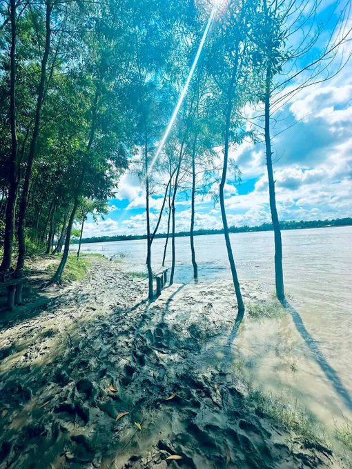 A scenic view of a sandy riverbank lined with trees overlooking a wide river under a bright blue sky with scattered clouds.