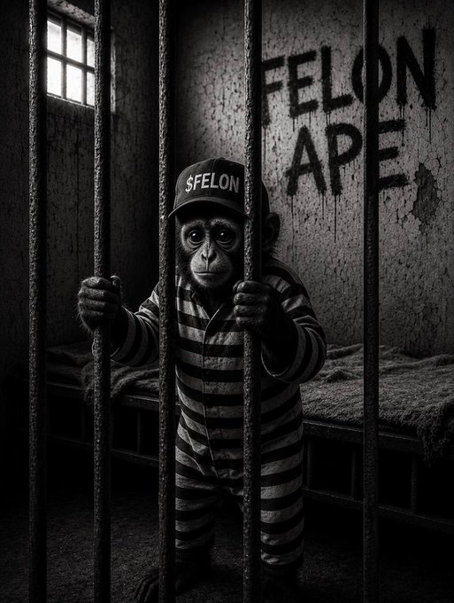 Dark, gritty image of a chimpanzee wearing a striped prison uniform and a cap reading '$FELON', standing behind prison bars with 'FELON APE' graffiti on the wall behind it.