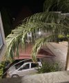 A small white car is parked outside a pink building, partially obscured by green palm fronds in the foreground.