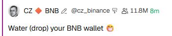 A tweet from CZ (cz_binance) reads 'Water (drop) your BNB wallet' with a smiling emoji.