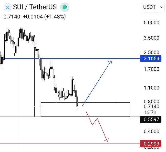 The image shows a graph that displays a downward-trending line, indicating a decrease or decline in value. The text at the top of the image states "SUI / TetherUS" which may be related to the cryptocurrency trading platform. The rest of the image is focused on showcasing the price fluctuations and the decline in value over time.