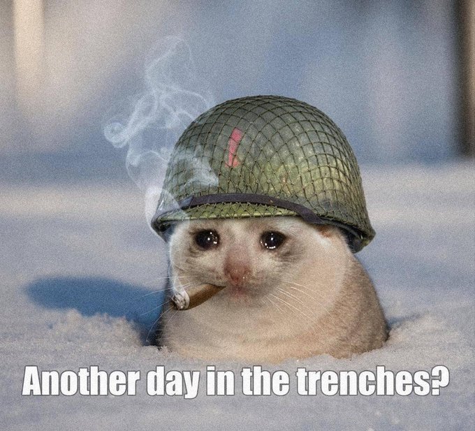 A small white kitten wearing an oversized green military helmet pokes its head out of the snow while smoking a cigarette, with the caption "Another day in the trenches?" — humorously depicting the weariness of holding $CASHCAT through market uncertainty while anticipating Robinhood's potential listing.